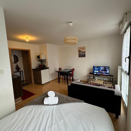 Le "Petit Colmarien" A 1Mn Du Centre Apartment ภายนอก รูปภาพ