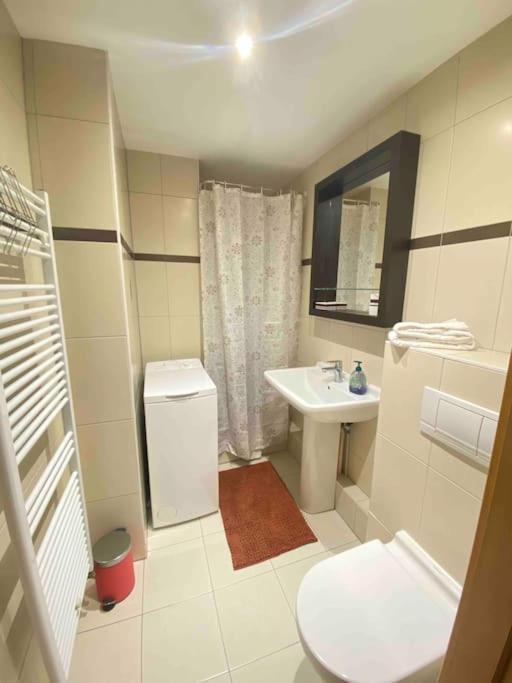 Le "Petit Colmarien" A 1Mn Du Centre Apartment ภายนอก รูปภาพ