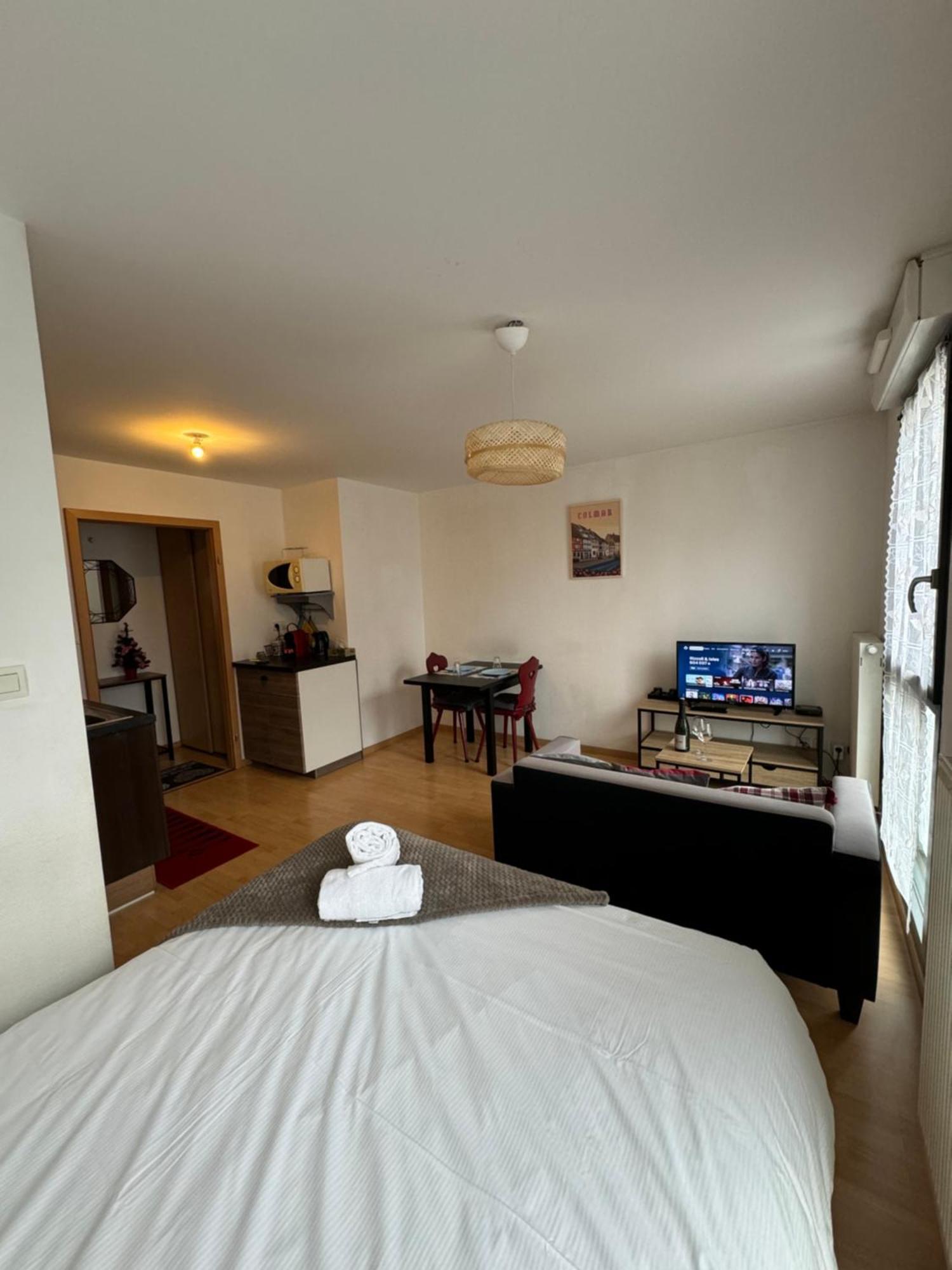 Le "Petit Colmarien" A 1Mn Du Centre Apartment ภายนอก รูปภาพ
