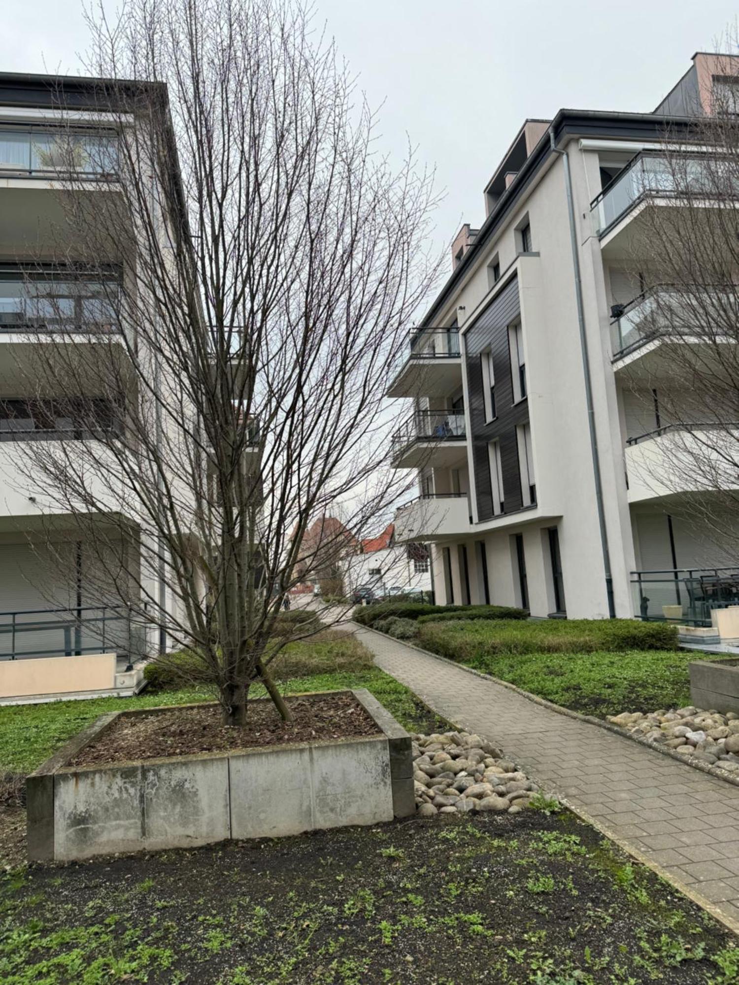 Le "Petit Colmarien" A 1Mn Du Centre Apartment ภายนอก รูปภาพ